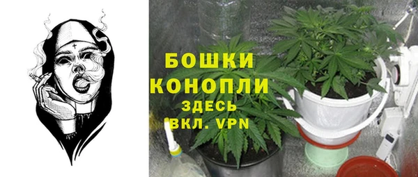сатива Алзамай